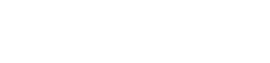 Google Premier Partner 2025 badge